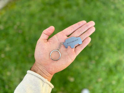 tacoma 2024 key chain